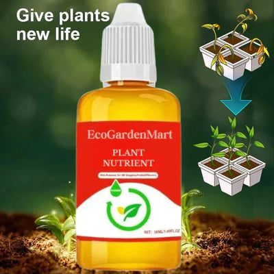 2+1 Gratis | PflanzenKraft™ Natürlicher Wachstumsboost