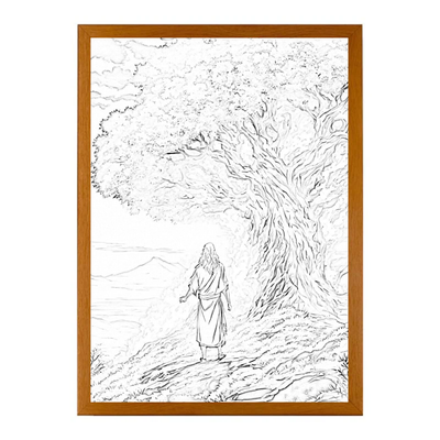 LeichteVision™ Verbessert Die Wanddekoration