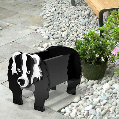 Europäischer Dachs Pflanzgefäß