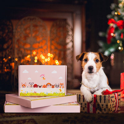 Schwarz-Weißer Jack Russell Blumentopf