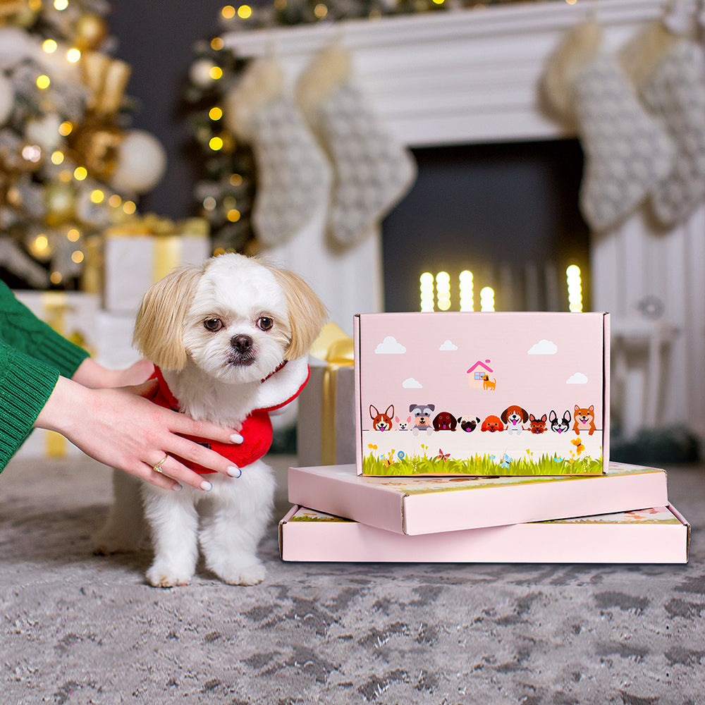 Corgi-Themed Flower Pot