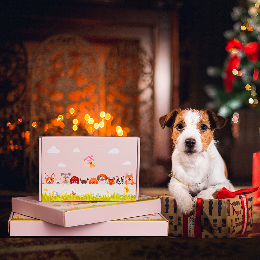 Chinchilla Flower Pot